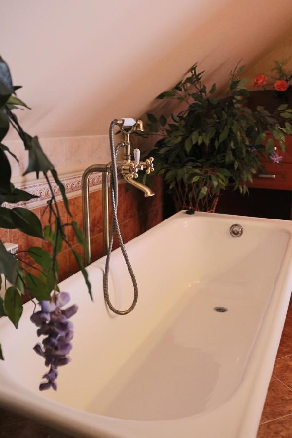 Grand Panorama Bed & Breakfast Wisniowa  Екстериор снимка